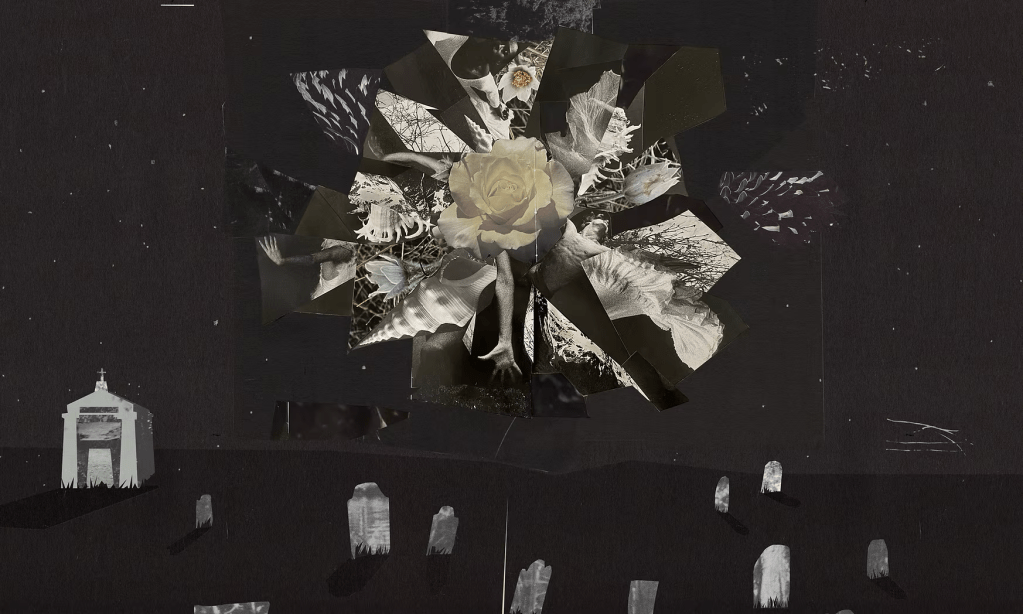 An illustration inspired by the book Lincoln in the Bardo, by George Saunders. This collage is a dark and image of a graveyard at night, with a bright white bloom of flowers, shells, and other glimpses of nature creating a flash in the dark sky.