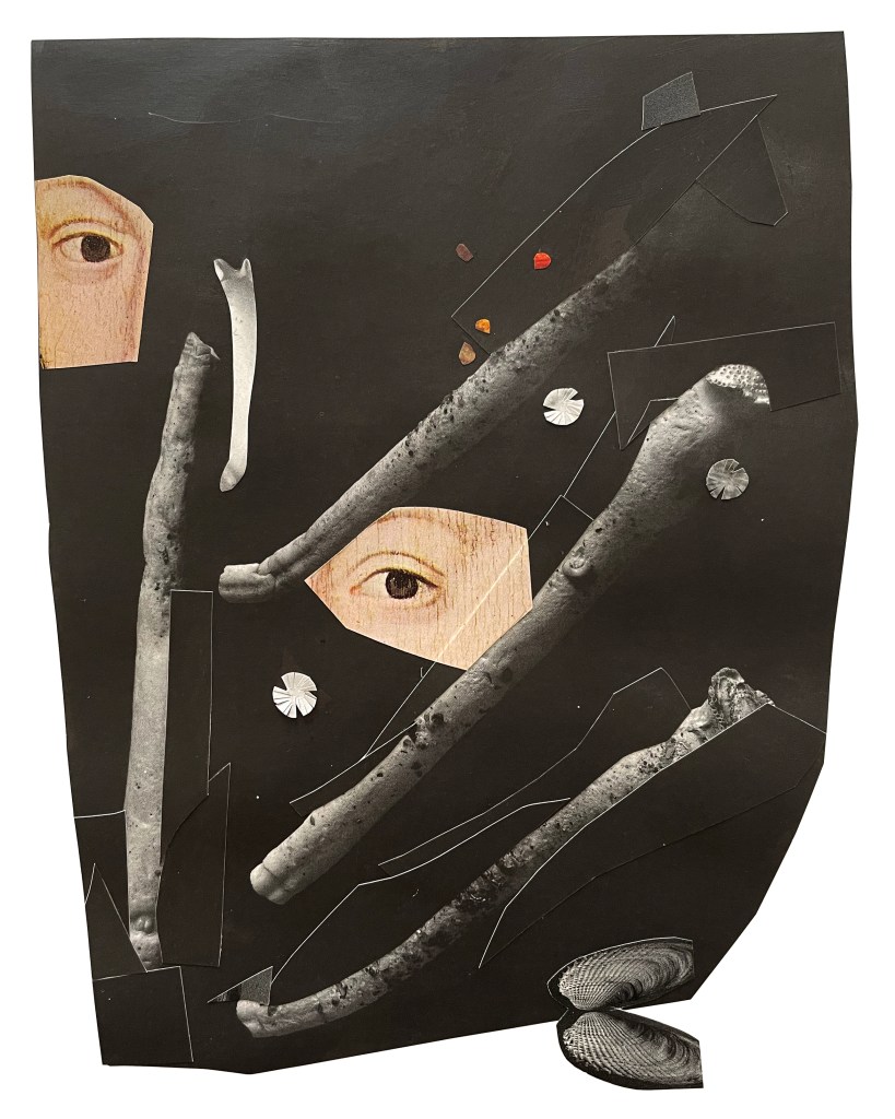 This illustration is inspired by the book How to Be Both, by Ali Smith. Executed in a mysterious collage style, the image is of two eyes, bones and a sea shell in a dark, underground space.